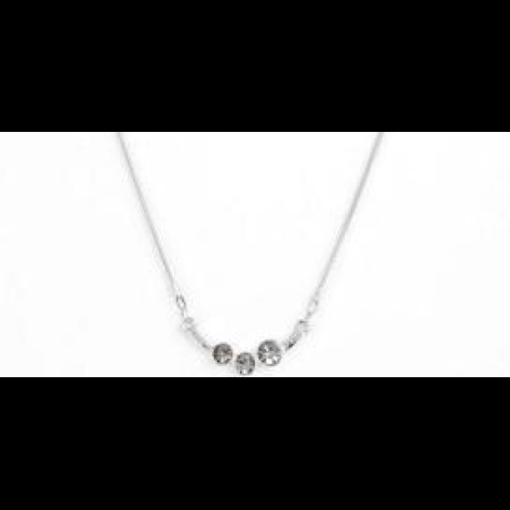 Paparazzi necklace